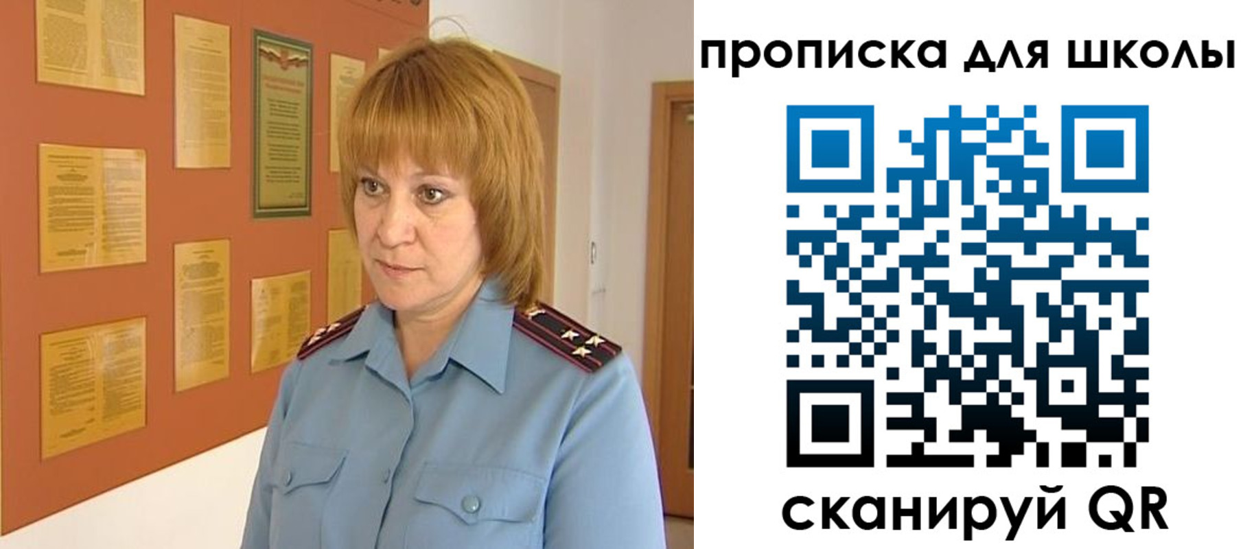 где прописаться в Покрове